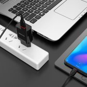 Сетевое зарядное устройство Borofone BA20A Sharp USB с кабелем Type-C (черное) — 2